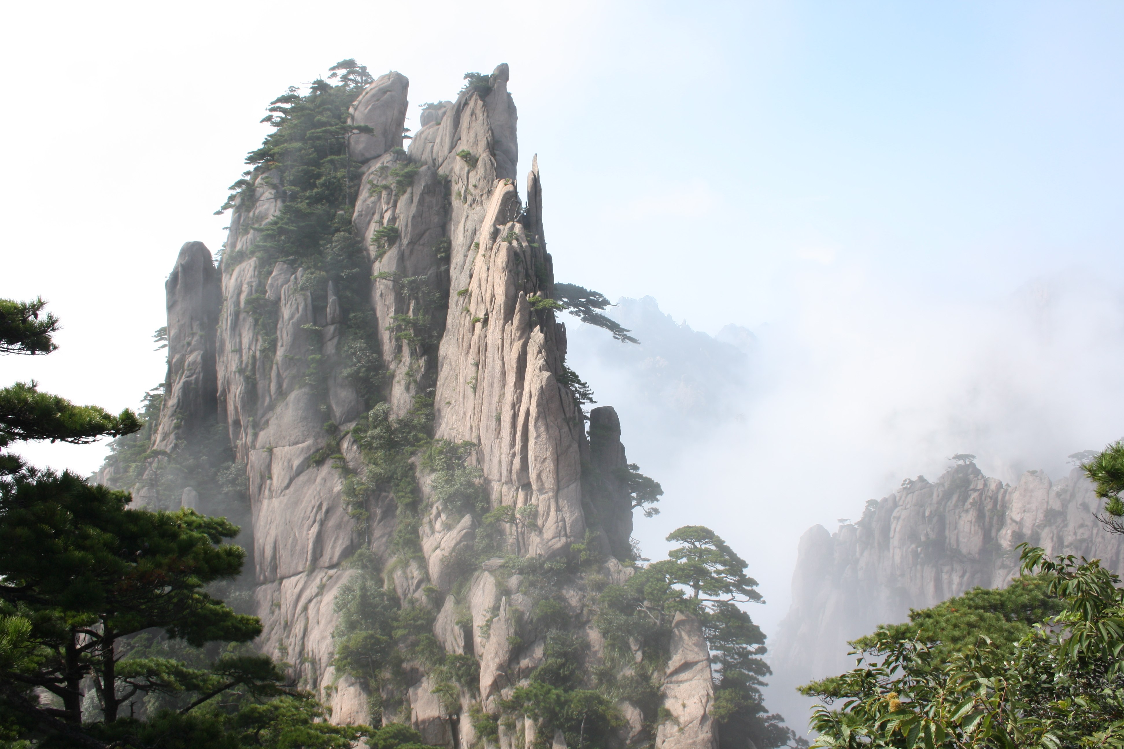Zian Tree Zen - Tree on the rock | Patchstorage