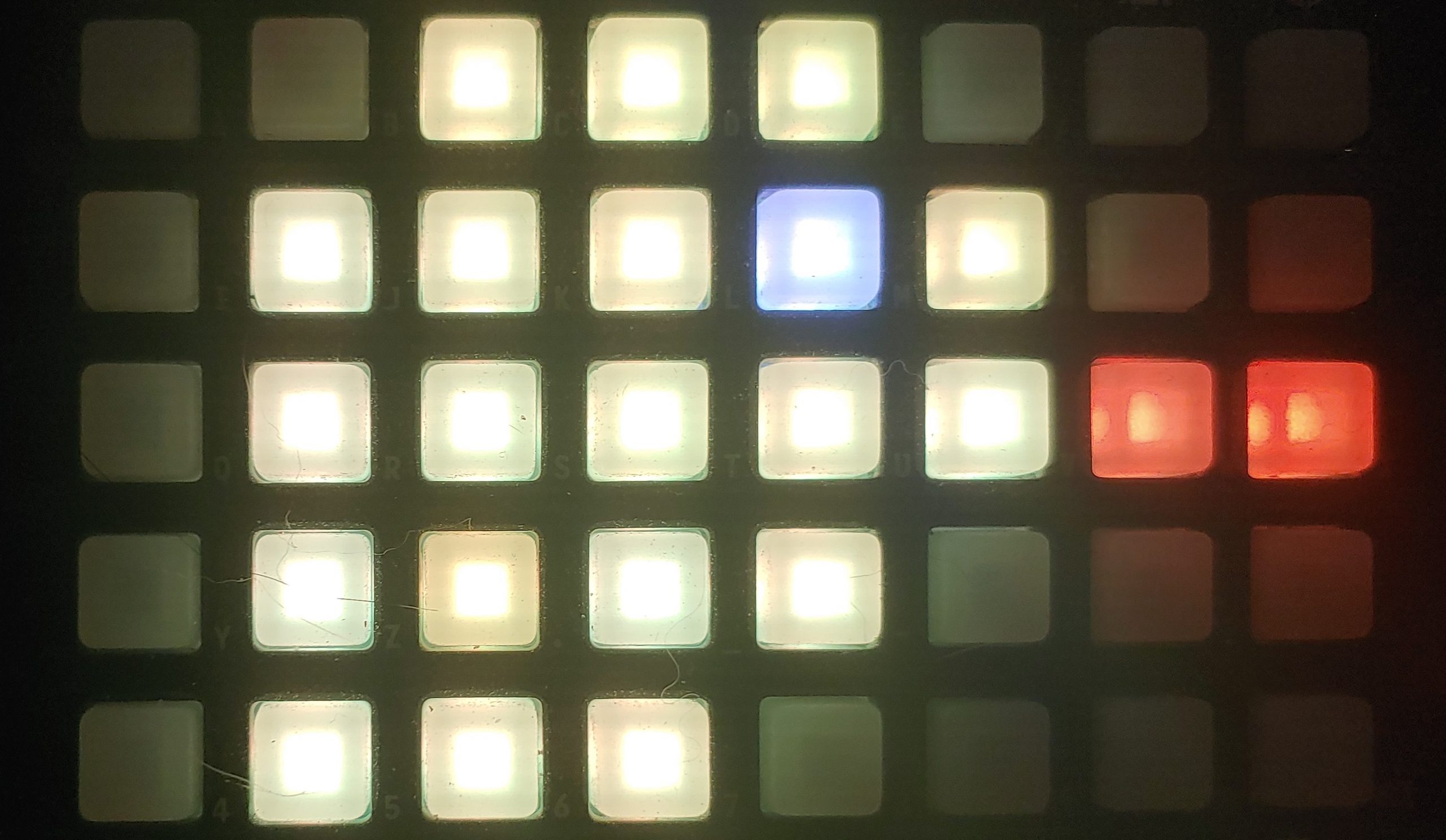 Duck Vrb Bass | Patchstorage