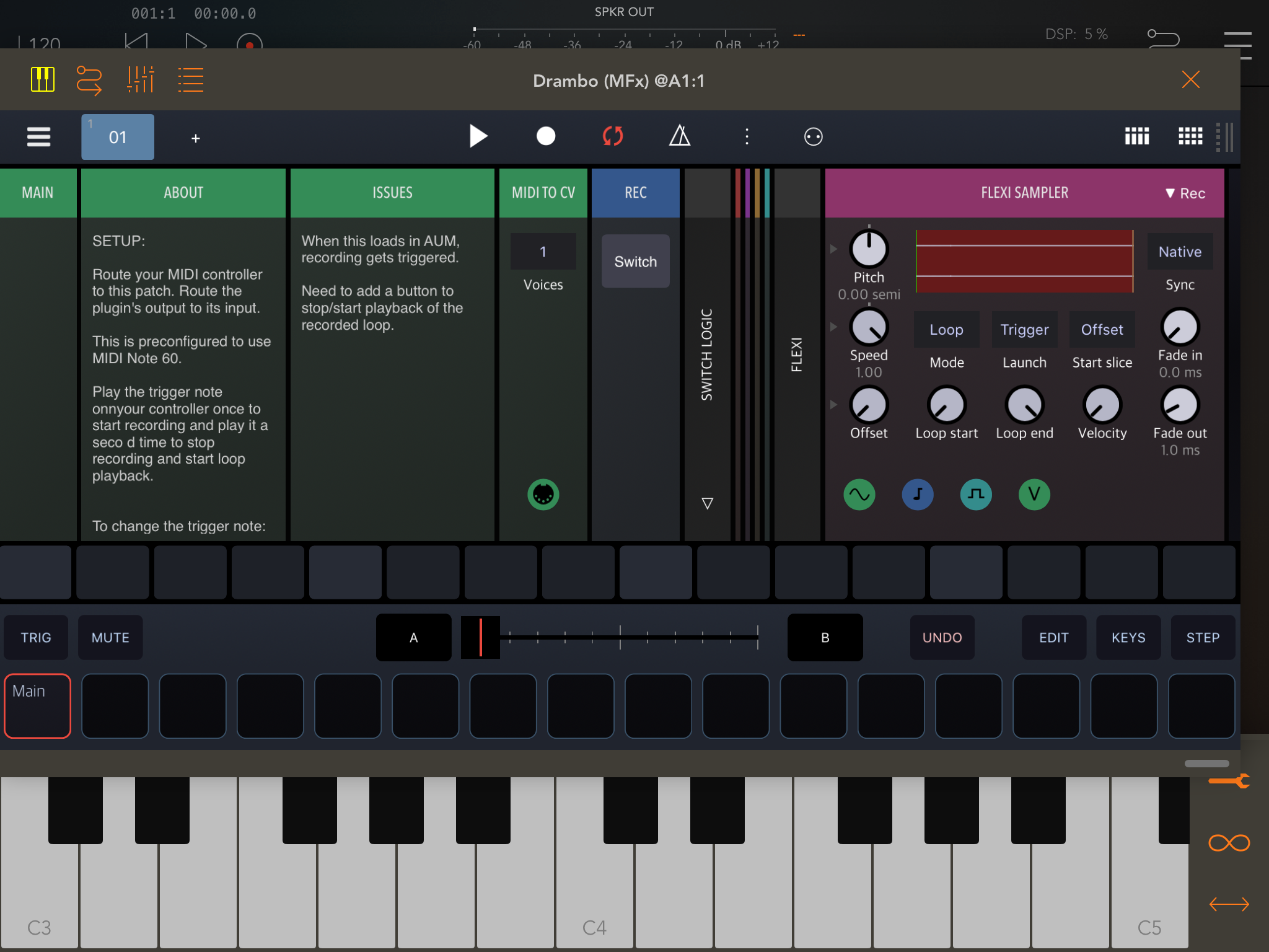 Switch Button Looper (revised) | Patchstorage