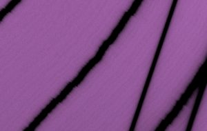 Strands | Patchstorage